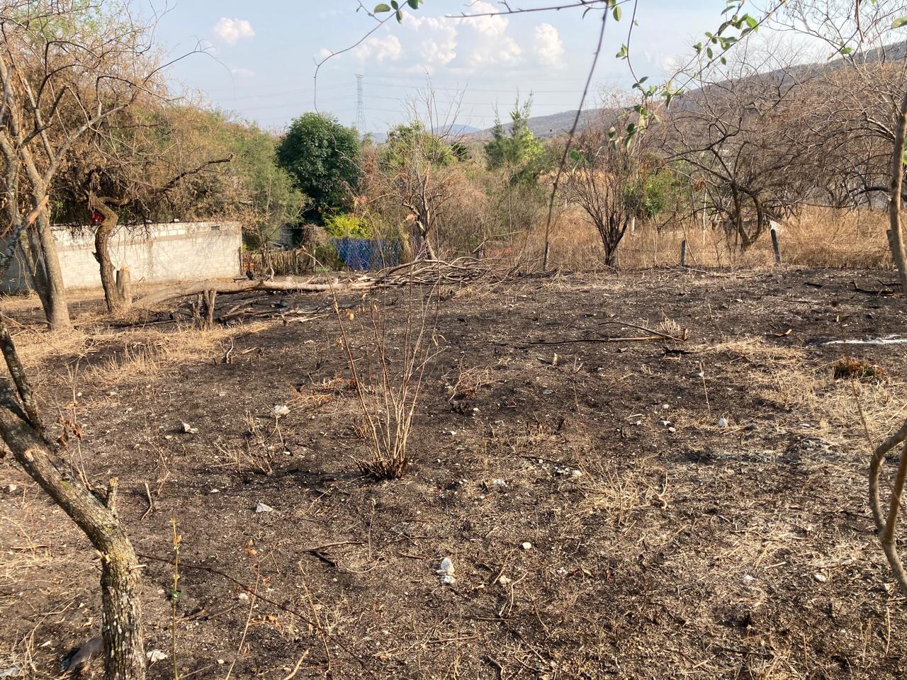 Terreno Yautepec